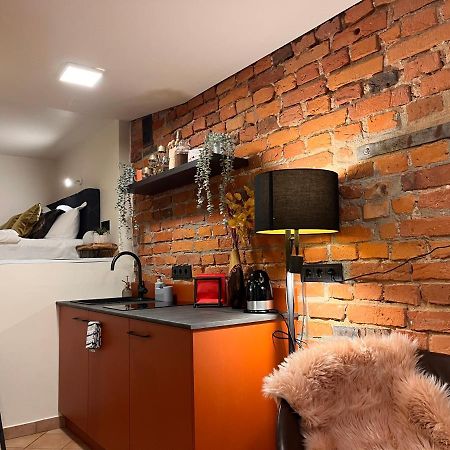 Apartaments In The City Centre Каунас Экстерьер фото